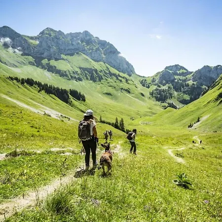 Tartifles Tf11 Nature & Mountain 4 Pers 아파트 Châtel